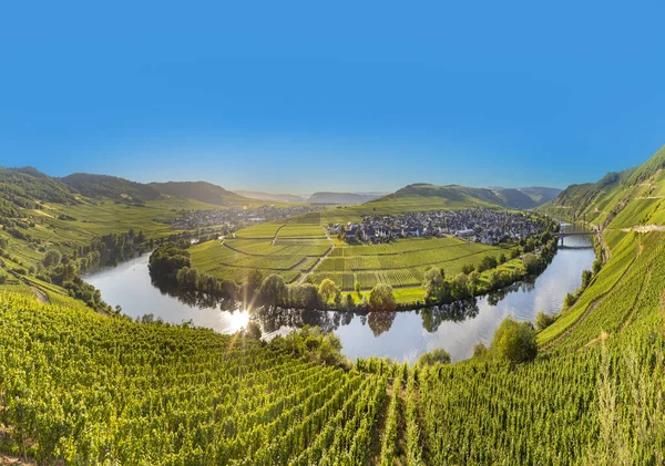 Bucle Panorámico Del Río Moselle Leiwen Trittenheim Alemania — Foto de Stock