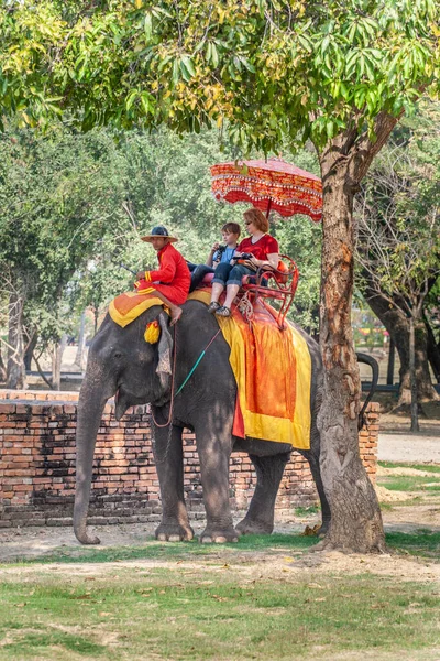 Ayutthaya Thailand December 2009 Mahout Rijdt Zijn Olifant Met Toeristen — Stockfoto