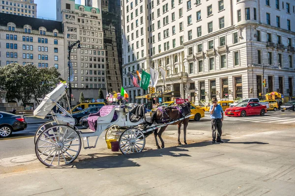 2017年10月4日 美国纽约 中央公园的马车夫和他的白色马车等候游客 — 图库照片
