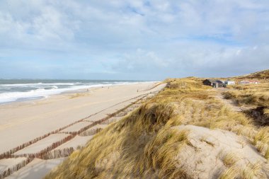 Liste 'deki batı sahilindeki kumul manzarası. Almanya' daki Sylt adası. Kuzey deniz manzarası alçak.