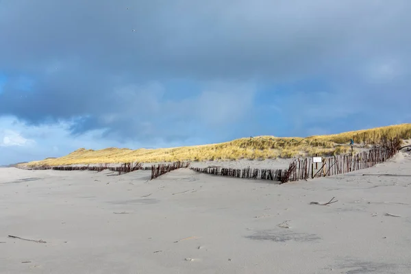 德国荷尔苏姆Sylt岛沙丘景观 — 图库照片