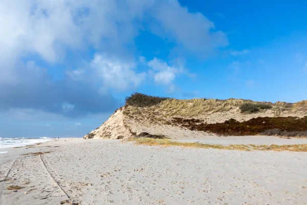 scenic dune landscape with beach at ocean North sea  in Sylt, Germany