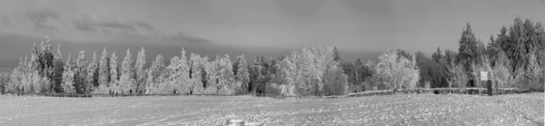 Paesaggio Invernale Sulla Neve Montagna Feldberg Assia Germania — Foto Stock