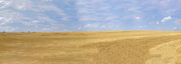 Strobaal Een Veld Het Oogsten Feloranje Kleuren — Stockfoto