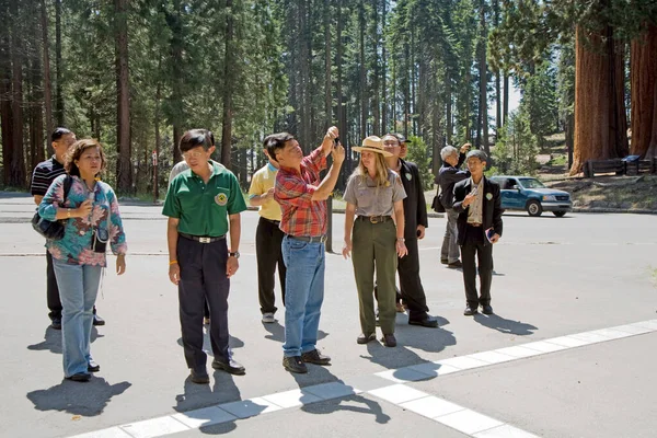 Giant Village Usa July 2008 Ranger Guides Group Tourists Sequoia — Stock Photo, Image