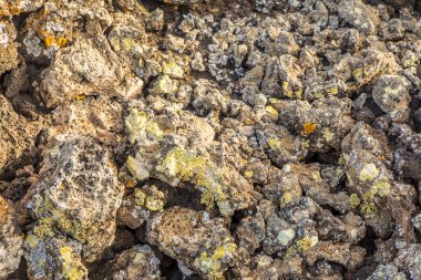 Arkaplanı yosun ve sülfür olan volkanik kül toprağı