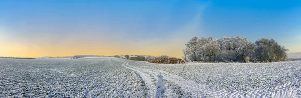 Πανοραμικό Χειμερινό Τοπίο Ανατολή Κοντά Στο Bad Frankenhausen Θουριγγία Γερμανία — Φωτογραφία Αρχείου