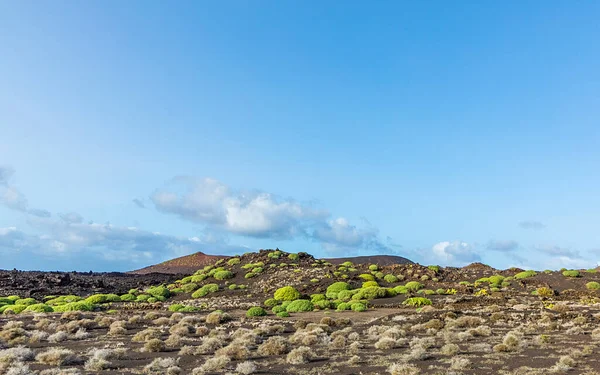 Vulkaniska Landskapet Nationalparken Timanfaya Lanzarote Spanien — Stockfoto