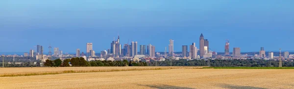 Blick Auf Die Skyline Von Frankfurt Main Mit Goldenem Abgeerntetem — Stockfoto