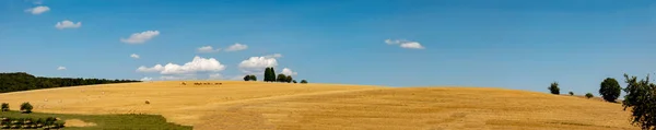 Paesaggio Rurale Con Campo Dopo Raccolto Balla Paglia Sotto Cielo — Foto Stock