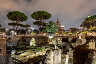 Roma arkeoloji sahasının olduğu Roma forumunun gece görüşü, İtalya, Roma