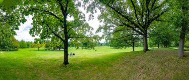Mannheim 'da ağaçlar ve çimlerle kaplı park alanının manzarası.