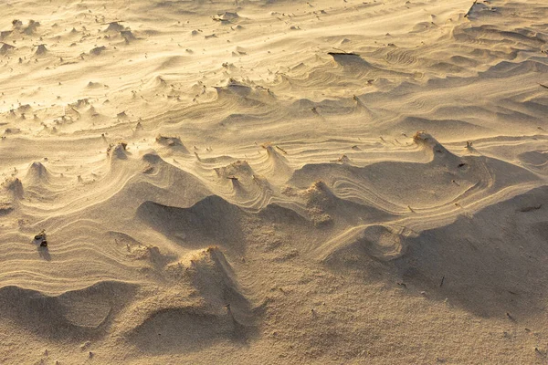 Scenic Detail Sandy Beach Island Sylt — 스톡 사진