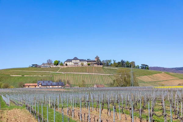 Old Historic Vinery Building Hill Surrounded Vineyards Rhine Valley Germany — Stock Photo, Image