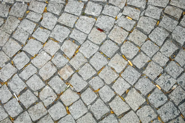 Pattern Grey Floor Background Cobble Stones — Stock Photo, Image