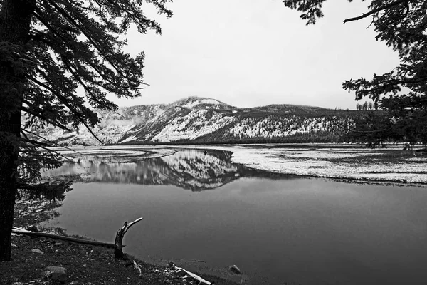 Γραφικό Τοπίο Του Ποταμού Χειμώνα Στο Εθνικό Πάρκο Yellowstone Κοντά — Φωτογραφία Αρχείου