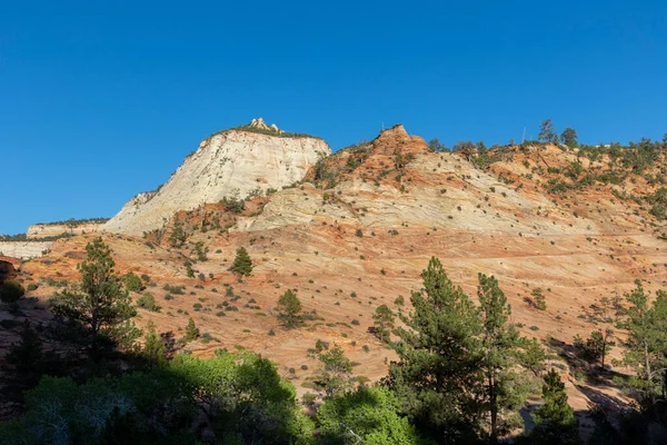 Utah Abd Deki Zion Ulusal Parkı Ndaki Manzaralı Dağ Manzarası — Stok fotoğraf