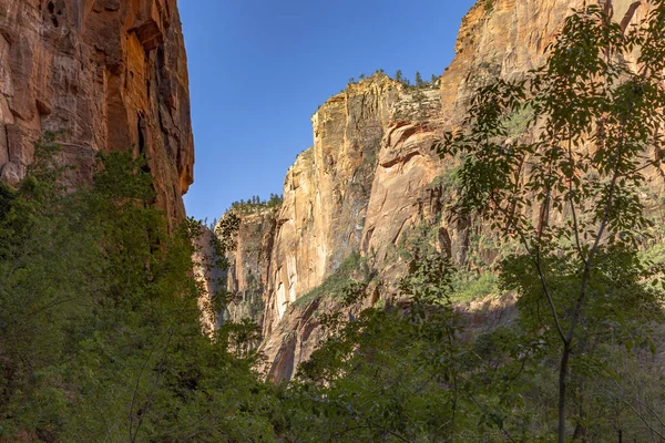 Schilderachtige Bergen Bij Zion National Park Gezien Vanaf Vallei Tempel — Stockfoto