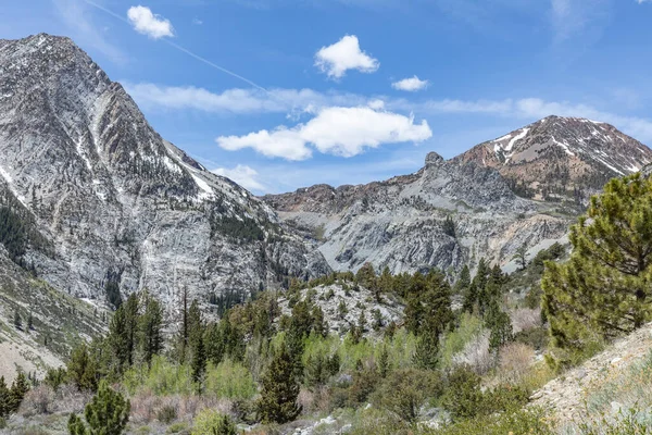 Panoramisch Uitzicht Bergen Van Tioga Pas Het Yosemite Nationaal Park — Stockfoto