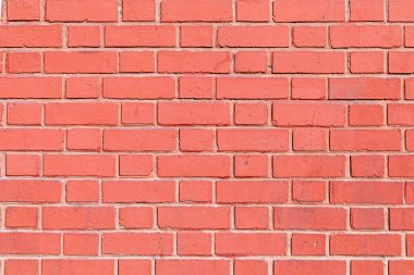 Ahenkli arkaplan olarak temiz tuğla duvar boyanmış.