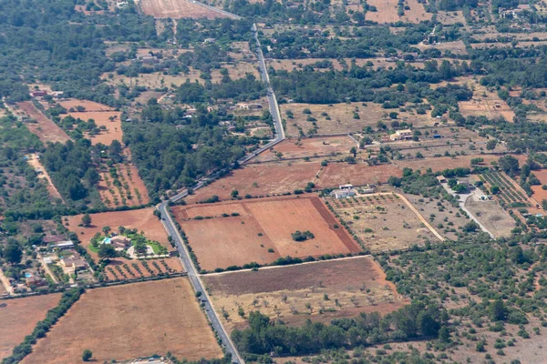 Aerial View Fields Olive Tree Plantations Island Mallorca Spain Las — Stock Photo, Image