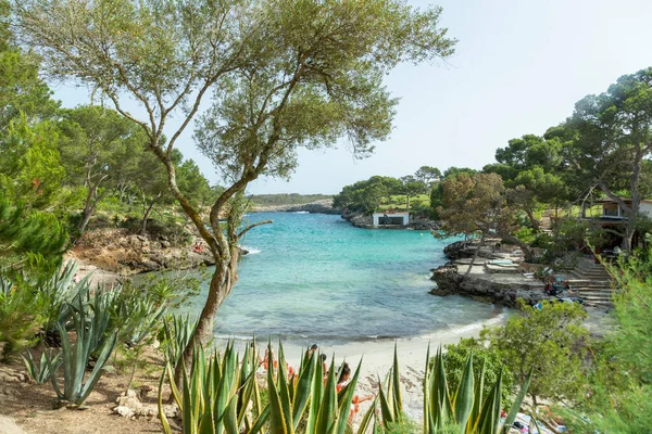 Krásná Malá Pláž Cala Mitjana Východním Pobřeží Mallorky Španělsko — Stock fotografie
