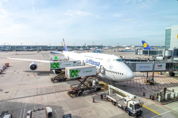 Φρανκφούρτη Γερμανία Μαΐου 2022 Αεροσκάφος Lufthansa Στην Πύλη Της Φρανκφούρτης — Φωτογραφία Αρχείου