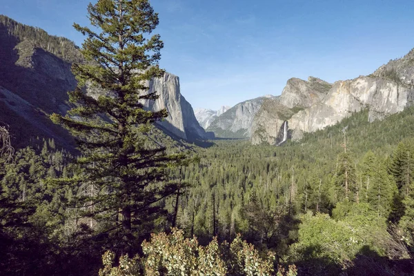Scenic View Yosemite Valley Half Dome Capitan Usa — Stock Photo, Image
