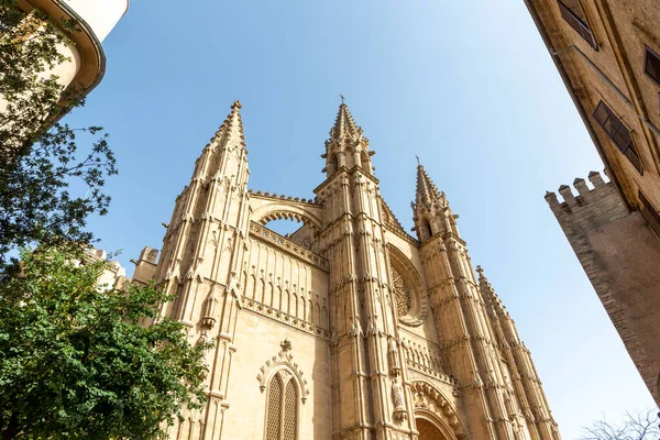 Architectonische Details Van Gotische Seu Kathedraal Van Palma Mallorca Spanje — Stockfoto