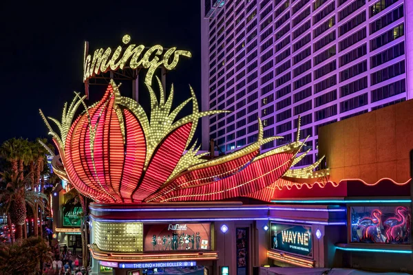Las Vegas Usa May 2022 Famous Flamingo Hotel Night Las — Zdjęcie stockowe