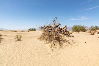 sand dunes at Mesquite Flat in Death Valley National Park, USA