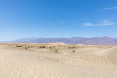 sand dunes at Mesquite Flat in Death Valley National Park, USA