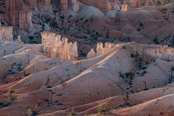 Vista Panoramica Sulle Hoodoos Nel Parco Nazionale Del Bryce Canyon — Foto Stock