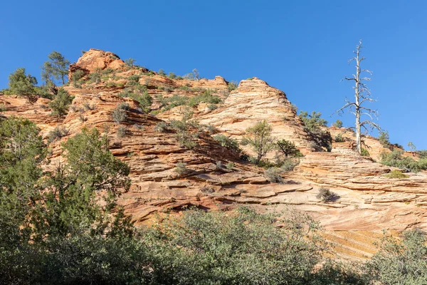 Utah, ABD 'deki Zion Ulusal Parkı' ndaki manzaralı dağ manzarası