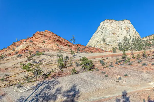 Utah Abd Deki Zion Ulusal Parkı Ndaki Manzaralı Dağ Manzarası — Stok fotoğraf