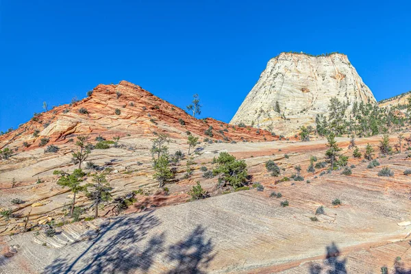 Paisagem Montanhosa Cênica Parque Nacional Zion Utah Eua — Fotografia de Stock