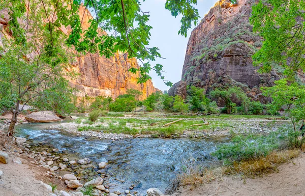 Virgin River Zion National Park Vertical View Riverbed Zion Mountains — Fotografia de Stock