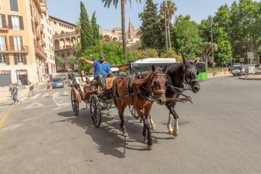 Palma de Mallorca, Spain - June 22, 2022: people enjoy the touristic horse driven carriage ride thru the scenic spots in Palma.