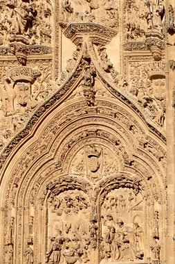 Scenic view of the details on the walls of Salamanca Cathedral in Spain