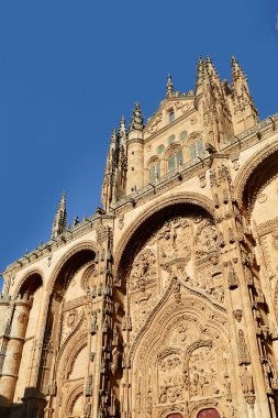 Scenic view of the details on the walls of Salamanca Cathedral in Spain