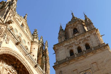 Scenic view of the details on the walls of Salamanca Cathedral in Spain