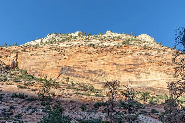 Festői Hegyvidéki Táj Zion Nemzeti Parkban Utah Usa — Stock Fotó