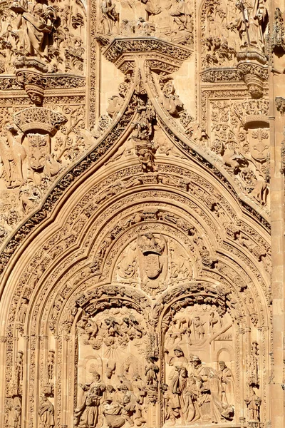 Scenic View Details Walls Salamanca Cathedral Spain — Stock fotografie