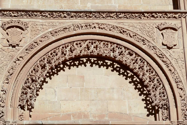 Scenic View Details Walls Salamanca Cathedral Spain — Stok fotoğraf