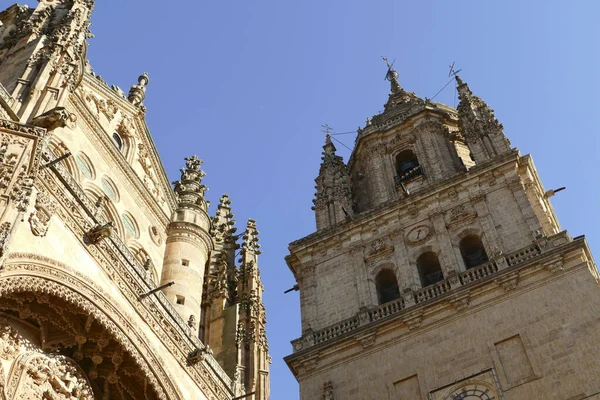 Scenic View Details Walls Salamanca Cathedral Spain — стокове фото