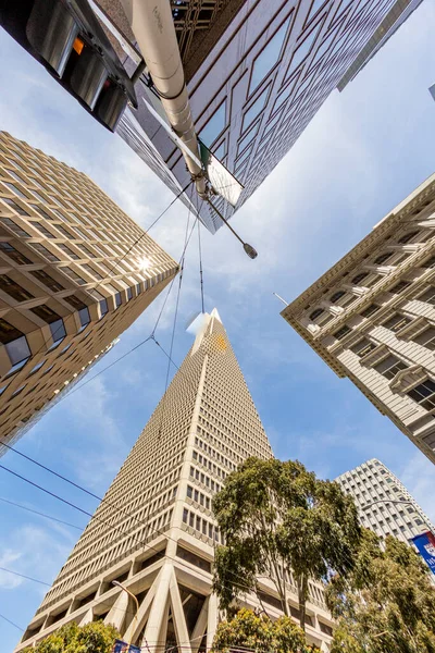 Fisheye Perspective Skyscraper Downtown Financial District San Francisco Usa — Stock Photo, Image