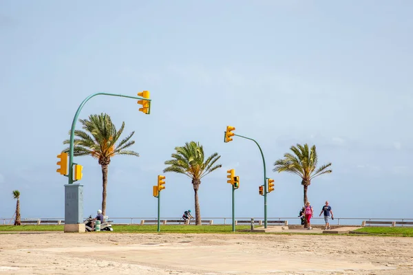 Palma Spain June 2022 Many Traffic Lights Thepromenade Palma Mallorca — Stock Photo, Image