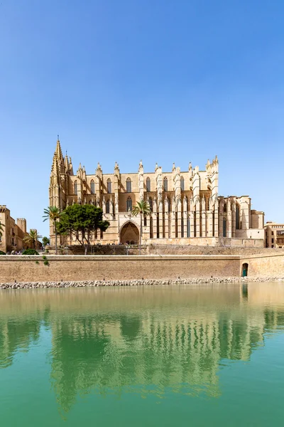 Katedrála Palma Mallorca Seu Gotická Středověká Budova Baleárské Ostrovy Španělsko — Stock fotografie