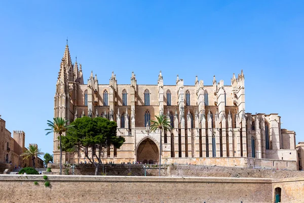 Katedralen Palma Mallorca Seu Gotiska Medeltida Byggnad Balearerna Spanien — Stockfoto