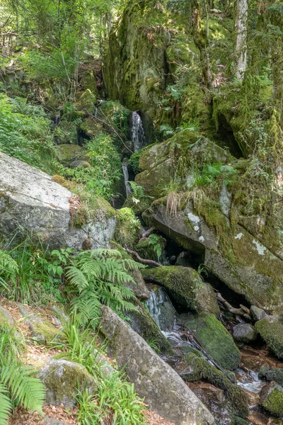 Pequeño Valle Pintoresco Con Arroyo Región Alsacia Francia —  Fotos de Stock